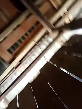 Ngocmi909 online show from March 2026 03:10:02 AM