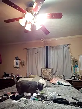 mresquared online show from March 2026 03:34:02 AM