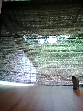 Georgia here online show from October 2025 12:31:02 AM