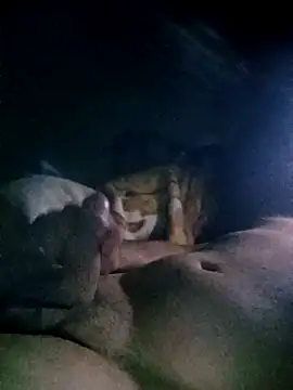 bomcasal online show from October 2025 07:47:01 PM