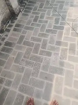 PunjabiSardarBull online show from November 2025 04:34:02 AM