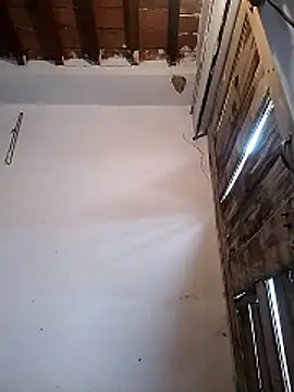 PunjabiSardarBull online show from March 2026 04:38:02 AM