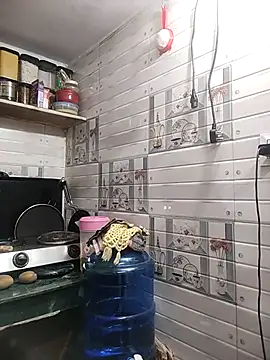 meenu bhabhi547 online show from April 2026 01:56:01 AM