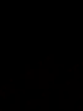 Jasmin Pink online show from November 2025 12:27:01 PM