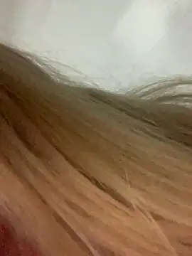 loiragoxtosinnha online show from November 2025 03:42:02 AM