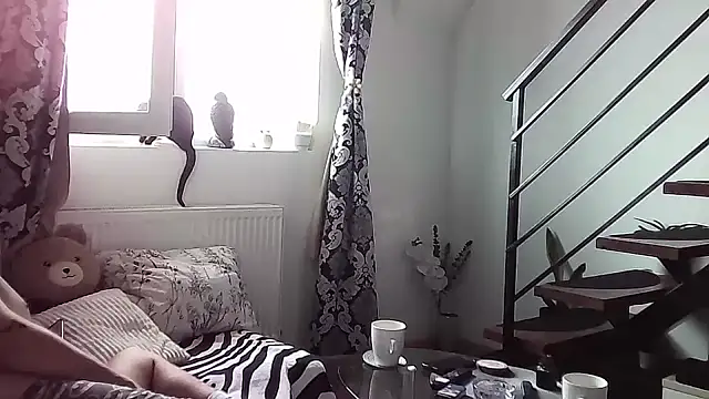 RyanStorm  online show from September 2025 09:42:02 AM