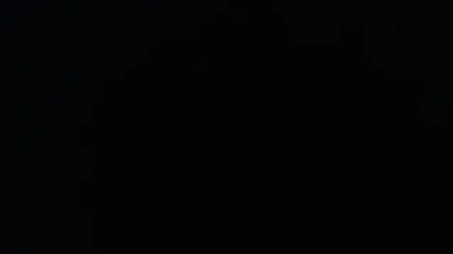 knodli online show from November 2025 11:26:02 PM