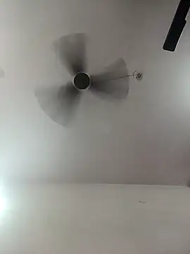 Appypie online show from October 2025 05:24:01 AM