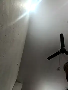 Appypie online show from November 2025 04:00:01 AM