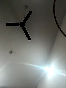 Appypie online show from November 2025 05:45:02 AM