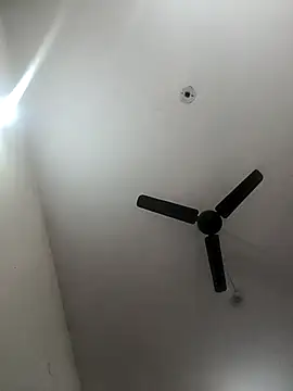 Appypie online show from January 2026 05:21:02 AM