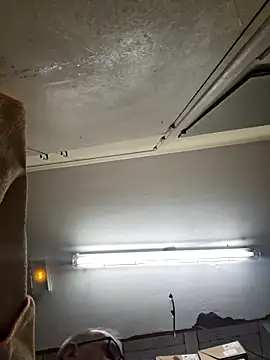 Valen tinx19cm online show from February 2026 11:22:02 AM