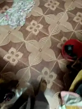 maddy3108 online show from December 2025 06:00:01 AM