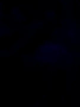 changavega online show from October 2025 12:44:01 AM