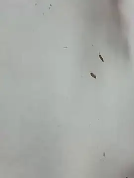 Baby-mmm online show from January 2026 05:20:01 AM