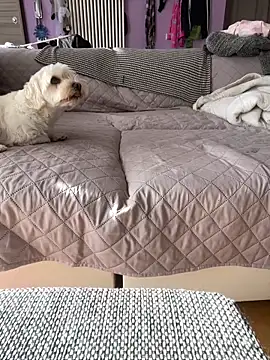 bananasex204 online show from October 2025 12:02:02 PM