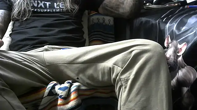 crassanova online show from April 2026 12:42:01 PM