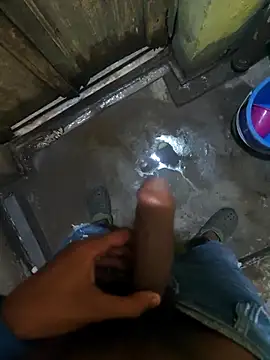 Snapshot of biswasb900 chatting on November 2025 11:54:01 AM biswasb900 online show from November 2025 11:54:01 AM