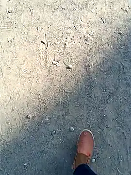 beerant online show from November 2025 05:35:01 AM