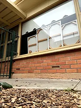 Stelan690 online show from October 2025 05:41:01 AM