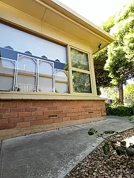 Stelan690 online show from November 2025 04:44:01 AM