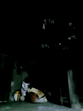 ngan-cute online show from December 2025 10:09:02 AM