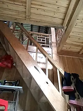 bing-bing88 online show from September 2025 02:25:01 AM