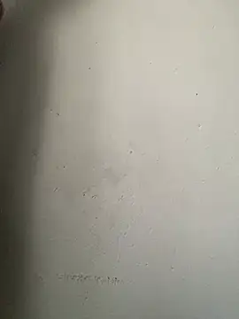 Dickssnake online show from February 2026 09:26:01 AM