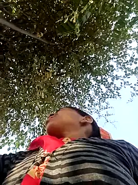 Hot-honi online show from November 2025 09:37:01 AM