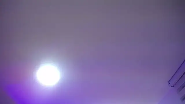  Charlotte Collins  online show from April 2026 02:33:01 PM