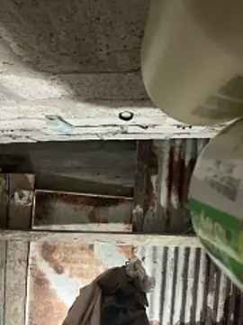 Snapshot of SaraBust chatting on April 2026 04:24:02 AM SaraBust online show from April 2026 04:24:02 AM