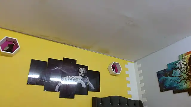 bull cam online show from October 2025 05:02:02 PM