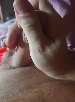 stunning stallion online show from October 2025 07:17:01 AM