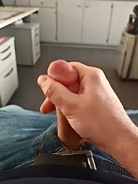 stunning stallion online show from February 2026 04:38:01 PM