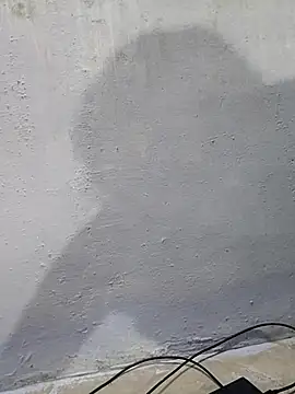 umashreetamil online show from September 2025 01:48:02 PM