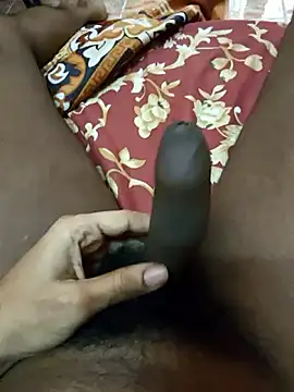 black cock 997 online show from March 2026 03:54:01 AM