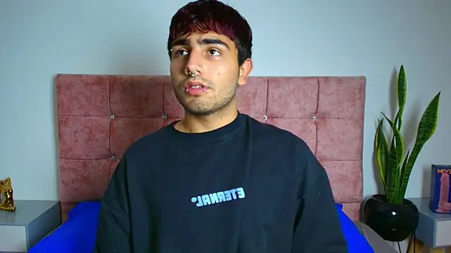 Ares Alpha online show from November 2025 07:24:02 PM