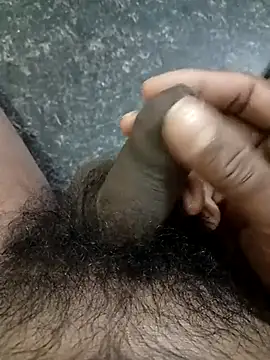 rajsibu online show from March 2026 08:19:01 AM