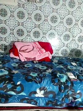 Snapshot of Hot-lino chatting on November 2025 11:38:02 PM Hot-lino online show from November 2025 11:38:02 PM