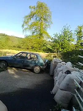 phil4fun4 online show from April 2026 04:44:01 PM