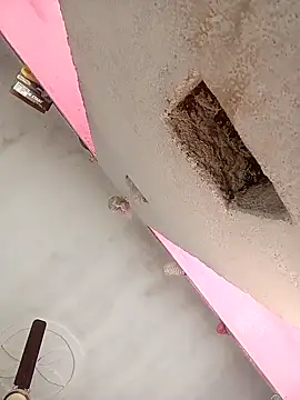 Snapshot of Payal950 chatting on February 2026 07:45:02 AM Payal950 online show from February 2026 07:45:02 AM