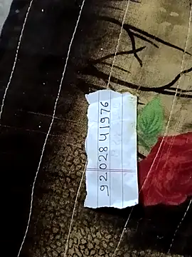 Snapshot of Payal950 chatting on February 2026 10:17:01 PM Payal950 online show from February 2026 10:17:01 PM