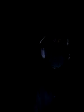 MODEST11 MMiILOO AMARO online show from November 2025 05:34:01 AM