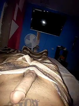 Exotic19cm online show from March 2026 03:18:01 PM