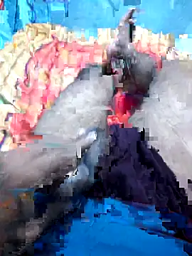 Snapshot of Hyd-bad-boy-25 chatting on September 2025 05:56:01 AM Hyd-bad-boy-25 online show from September 2025 05:56:01 AM