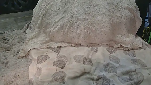 Snapshot of Gmajor chatting on March 2026 12:38:02 AM Gmajor online show from March 2026 12:38:02 AM