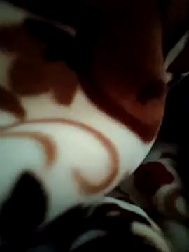 Snapshot of Hot_pooja55 chatting on February 2026 06:51:01 AM Hot pooja55 online show from February 2026 06:51:01 AM