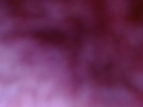 Snapshot of Your_candy_47 chatting on September 2025 01:24:02 PM Your candy 47 online show from September 2025 01:24:02 PM