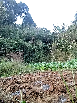 Snapshot of hera-00 chatting on November 2025 08:58:02 AM hera-00 online show from November 2025 08:58:02 AM