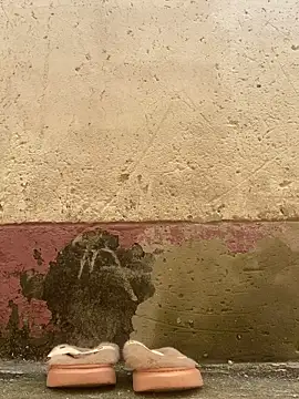 Snapshot of Crazyqueenxxx chatting on December 2025 12:01:02 PM Crazyqueenxxx online show from December 2025 12:01:02 PM